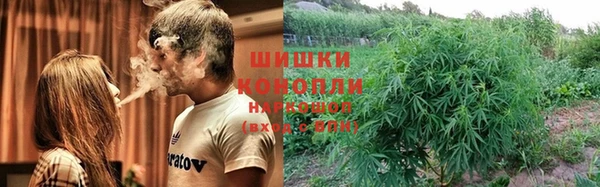 дживик Абинск