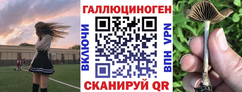 kraken ссылки купить Нахабино Псилоцибиновые грибы Psilocybe